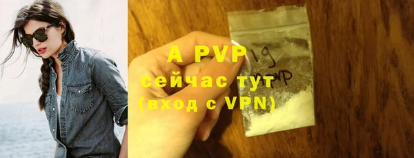 мдпв Весьегонск