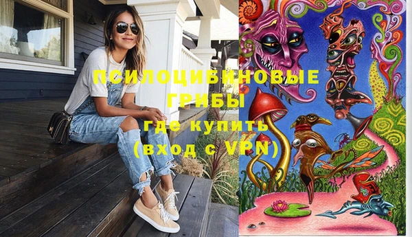 экстази Няндома