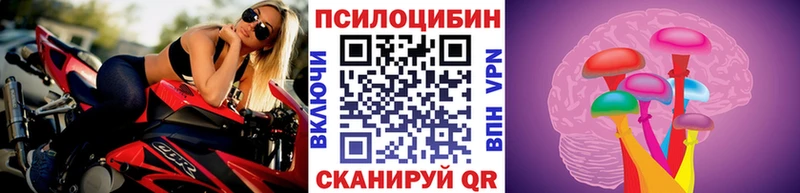 купить наркоту  Чебоксары  KRAKEN ссылки  Галлюциногенные грибы прущие грибы 