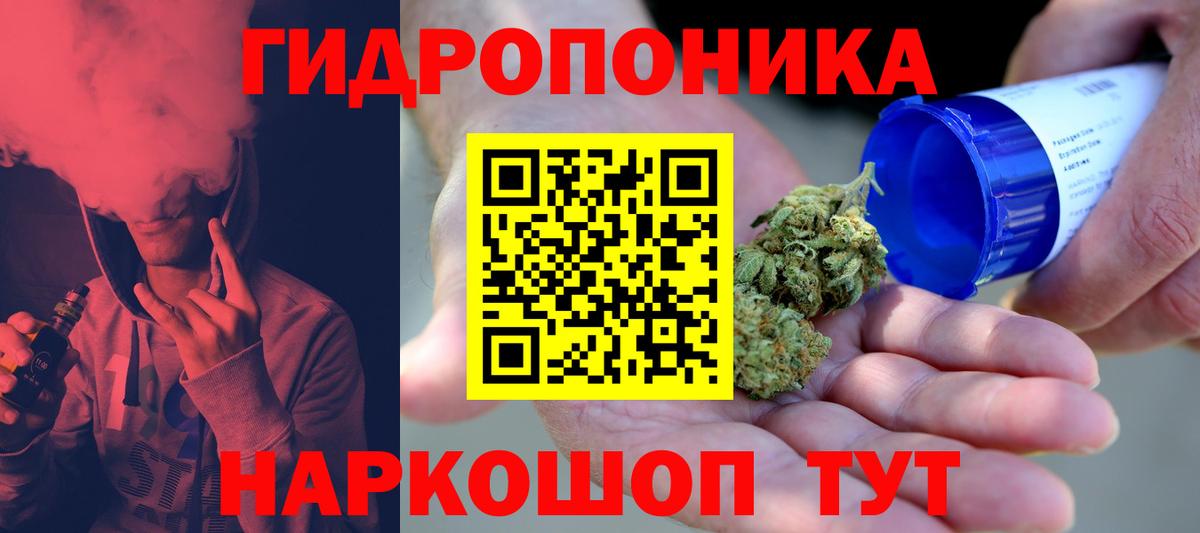 Бошки Шишки MAZAR Чебоксары